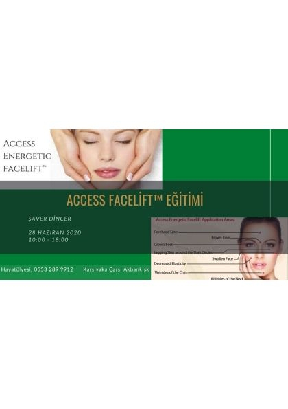 Access facelift схема