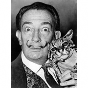 Salvador Dali Resmi