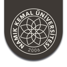 NAMIK KEMAL ÜNİVERSİTESİ Resmi